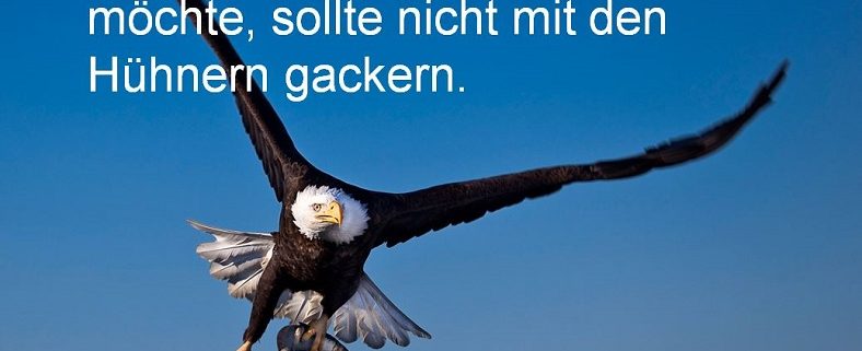 Das ist ein Adler